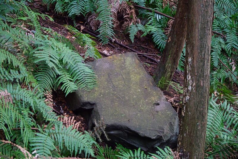File:Usami nakoyama quarry42.jpg