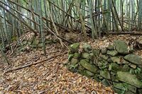 Akutagawasan20.jpg