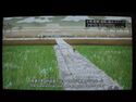 Ichijodani-museum4.jpg