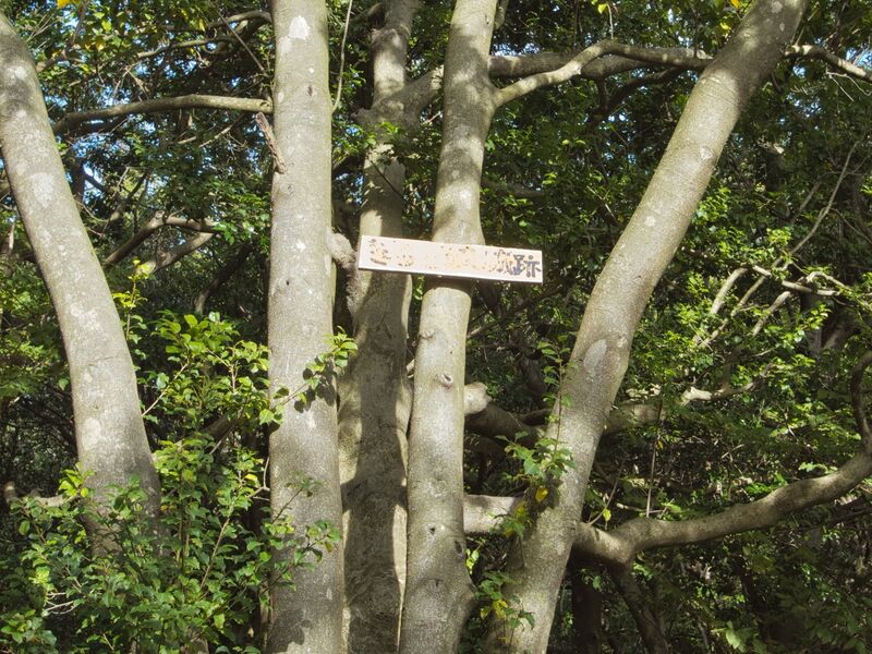 File:Kirarazaka12.jpg