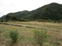 KisoYoshinakaYakata12.JPG