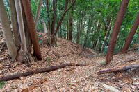 Matsuida9.jpg