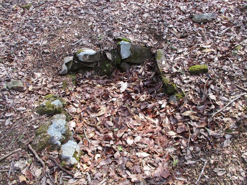 File:MinoTamajou003.jpg