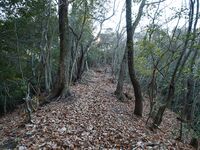 Shogunyama4.jpg