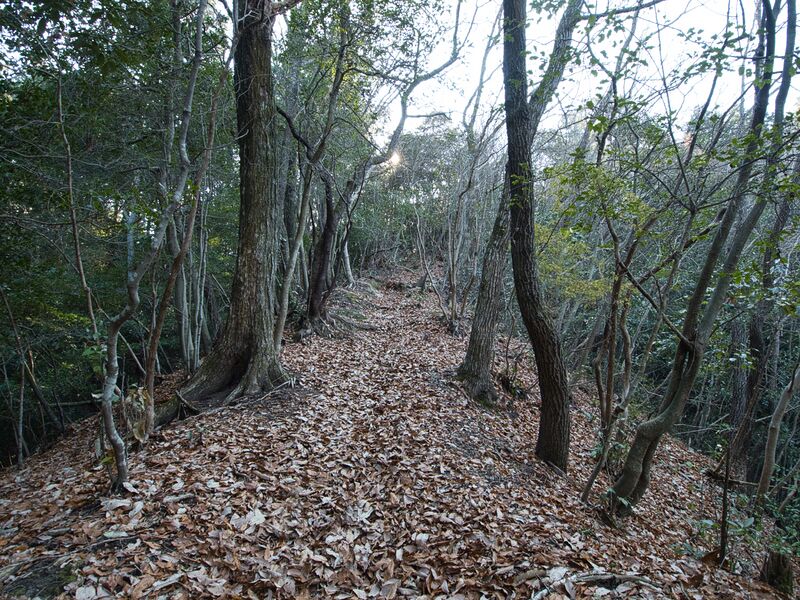 File:Shogunyama4.jpg