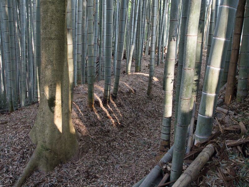 File:Uchikoshikoka10.jpg