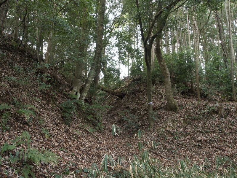 File:Wadashi2koka20.jpg