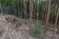 Akutagawasan12.jpg