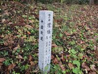 AzumiUzuhashijouA (13).JPG