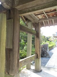 DaiuninDoi (7).JPG