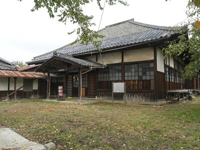 Hankohikone1.jpg