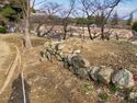 Himeji142.jpg