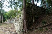 Kannonji Castle 313 Ishigaki 2018.jpg