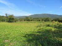 KitaKumai (16).JPG