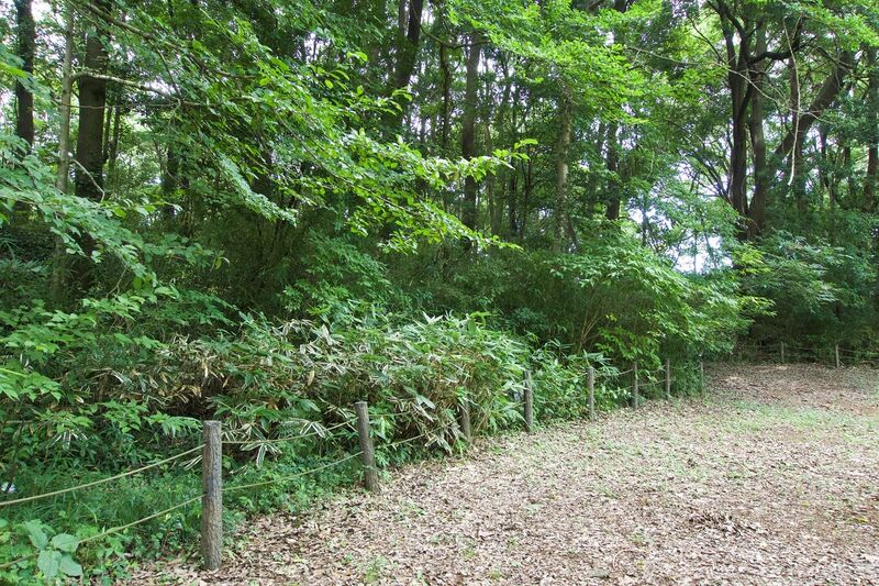 File:Moriya9.jpg