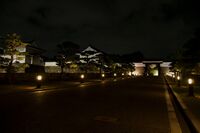 Osaka night10.jpg