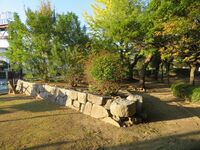SuzakiDaiba (2).JPG