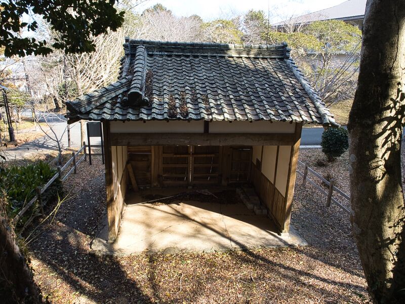 File:Tamarufujimi 4.jpg