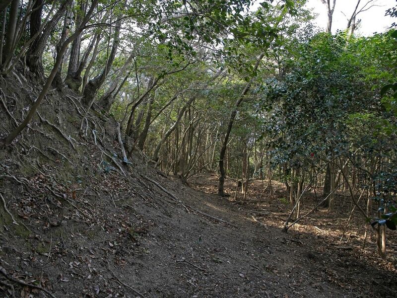 File:Tedori36.jpg
