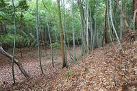 Akutagawasan18.jpg