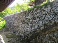 GaryuuzanjouA (37).jpg