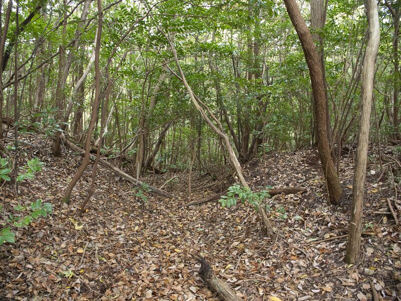 File:Hannyajitanba8.jpg