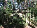 HieinoyamaToride (1).JPG