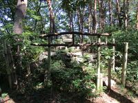 HieinoyamaToride (1).JPG