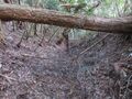 Thumbnail for version as of 00:38, 26 April 2020