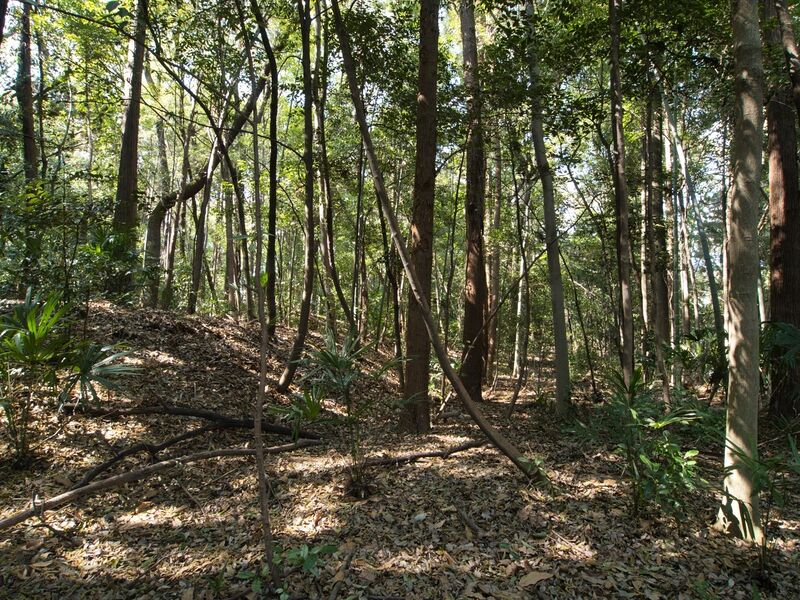 File:Inayashiki16.jpg