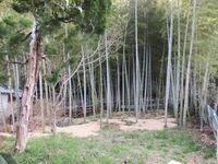 KanzakiSudaYakata (4).JPG