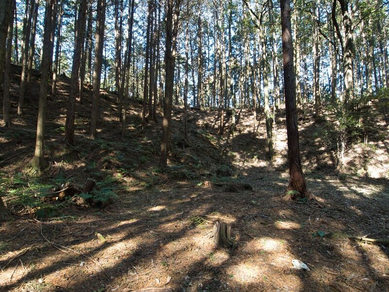File:Kokashingushi13.jpg
