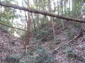 Thumbnail for version as of 00:15, 26 April 2020
