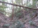 MinamiSakaidejou (22).JPG
