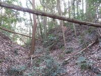 MinamiSakaidejou (22).JPG