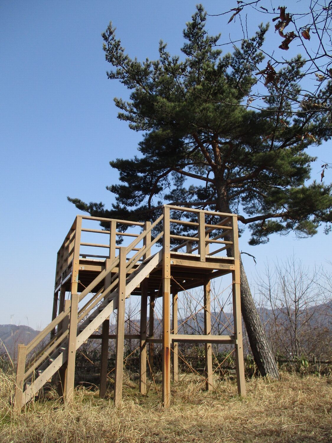 TakaiAraiharajou (1).JPG