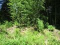 Thumbnail for version as of 14:44, 6 August 2022