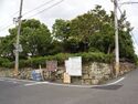 Tsuyama111tsubakikoge3.jpg
