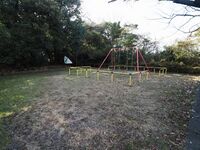 Washizufort3.jpg