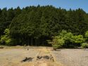 Ichijodani-fukugentown34.jpg