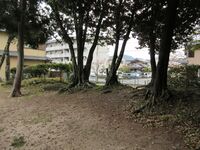 Kaminagaharajou (3).JPG