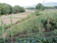 KitaKumai (47).JPG