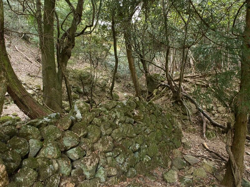 File:Kohyama54.jpg