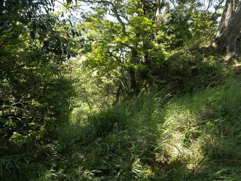 File:Kururi12.jpg