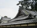 MikawaKourikijou (1).jpg