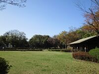 MikawaMutsunajou (3).JPG