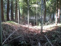 NanjouYakata (1).JPG