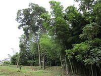 ShimosakaYakataNew (4).JPG
