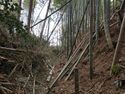 Takenaka25.jpg
