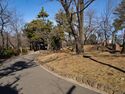 Asukayama8.jpg